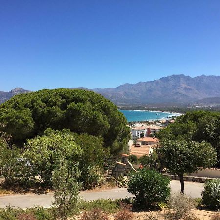 Appartement Calvi Кальві Екстер'єр фото