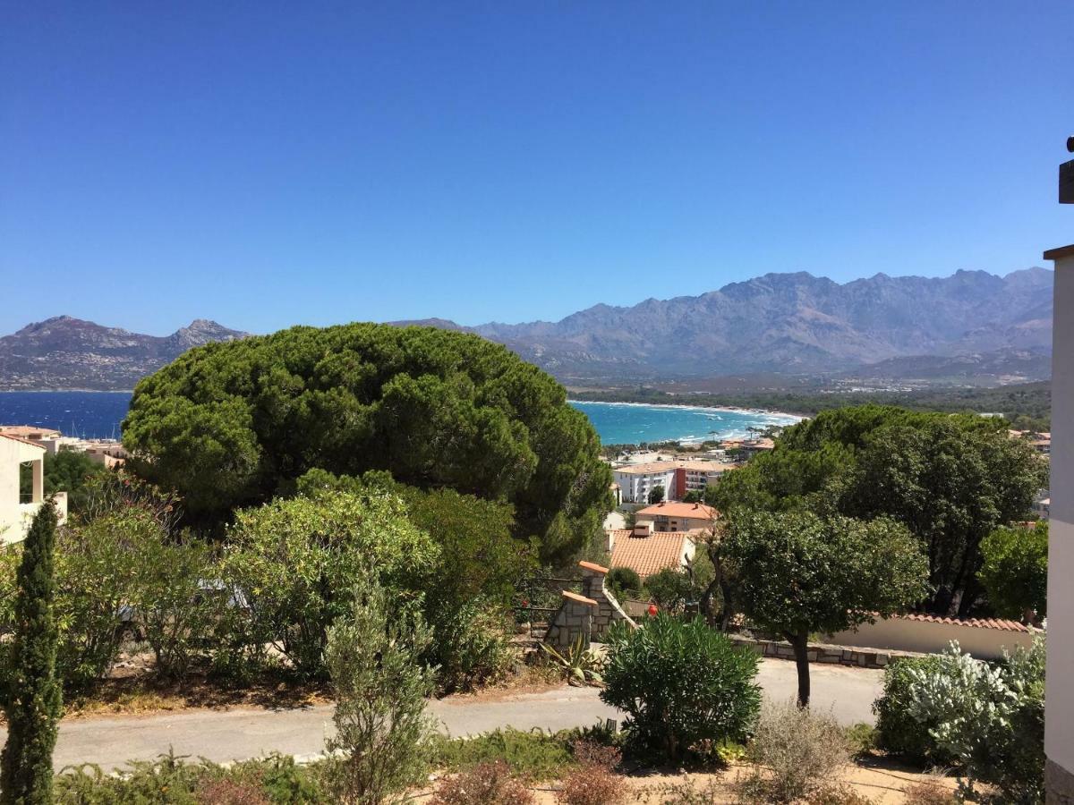 Appartement Calvi Кальві Екстер'єр фото